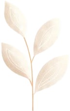 a white plant with leaves on a white background.jpg